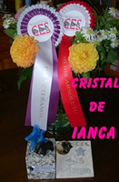 Cristal